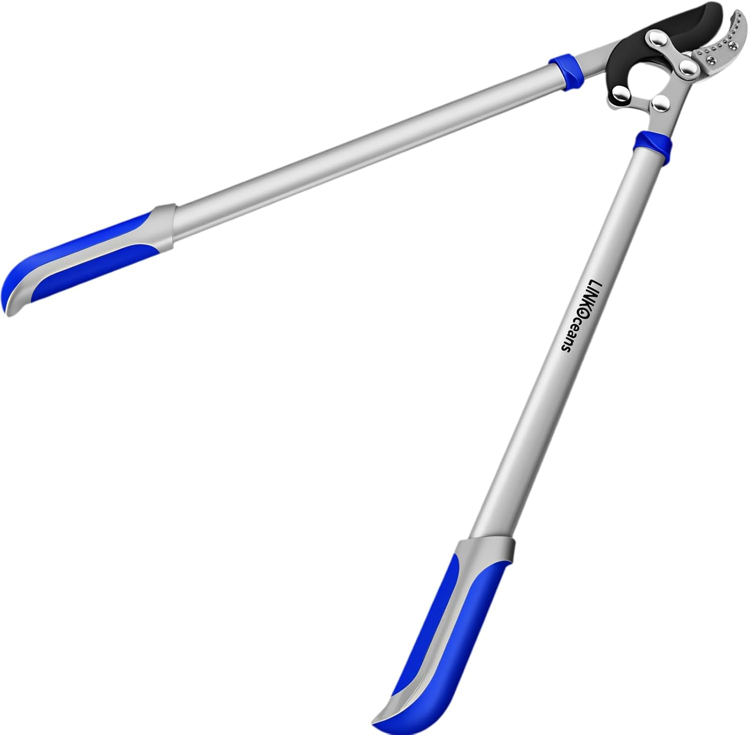 Loppers for Tree Trimming with Compound Action
